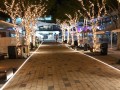 1_Coffs-Harbour-Fairy-lights-in-trees